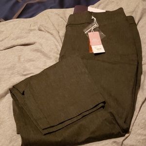 Size 18, Lane Bryant "the allie" dark grey pant